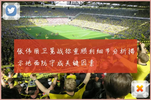 张伟丽卫冕战称重顺利细节分析揭示地面防守成关键因素